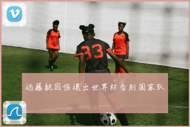 远藤航因伤退出世界杯告别国家队