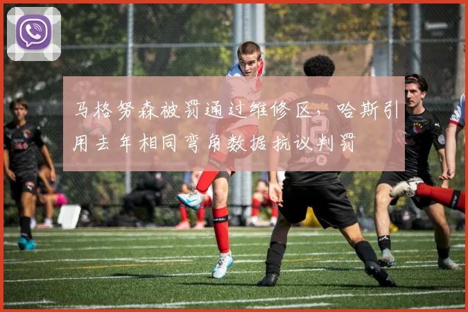 马格努森被罚通过维修区，哈斯引用去年相同弯角数据抗议判罚